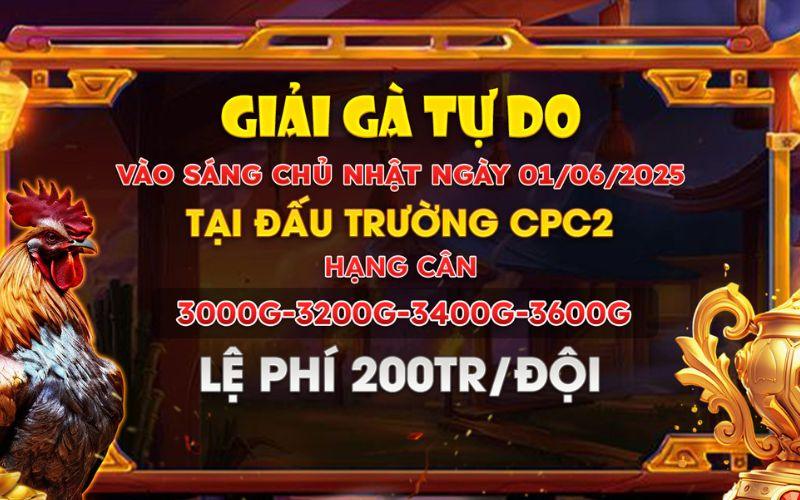 Giải Đấu 4 Con Gà Tự Do Tại CPC2 Ngày 1/6/2025 Giải Đấu 4 Con Gà Tự Do Tại CPC2 Ngày 1/6/2025