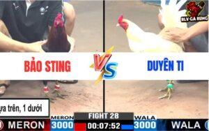 Trận 28 CPC3 Ngày 24/6/2024 - Anh Bảo Sting Vs Anh Duyên Ti