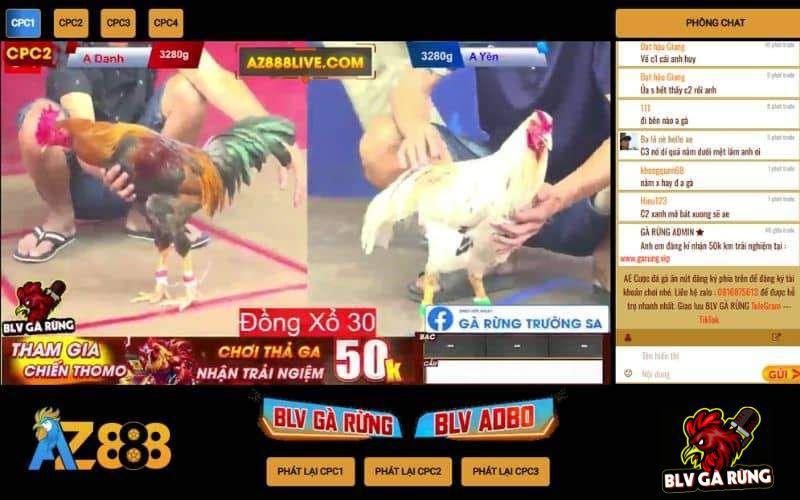 BLV GÀ RỪNG Xem trực tiếp đá gà được BLV Gà Rừng bình luận có nhiều lợi ích