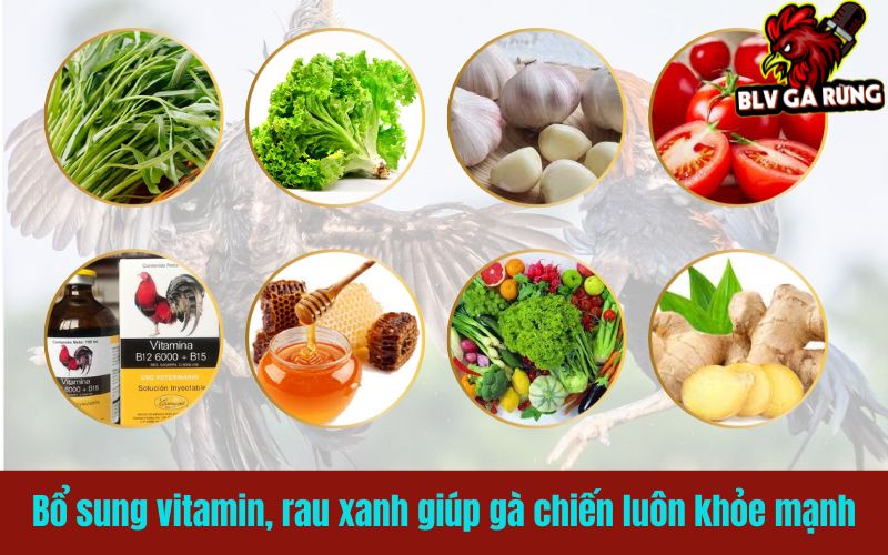 Bổ sung vitamin, rau xanh giúp gà chiến luôn khỏe mạnh