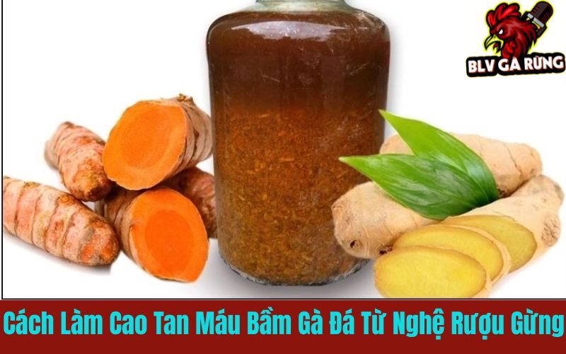 Cách làm cao tan máu bầm từ nghệ rượu và gừng