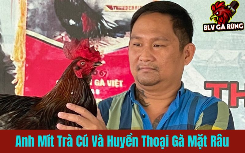 Cách phát huy tiềm năng chiến đấu đỉnh cao của gà mặt râu