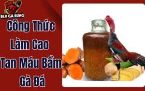Công Thức Làm Cao Tan Máu Bầm Gà Đá 100% Từ Nguyên Liệu Thiên Nhiên