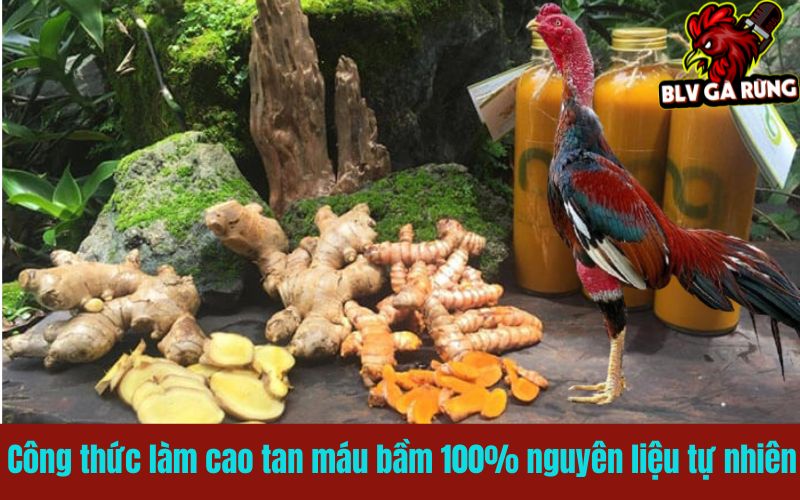 Công thức làm cao tan máu bầm 100% nguyên liệu tự nhiên