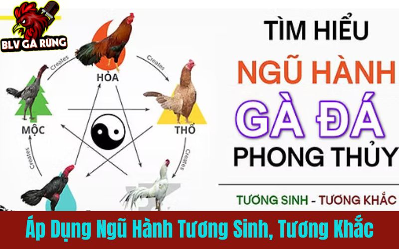 Đặt cược bất bại theo phong thủy ngũ hành