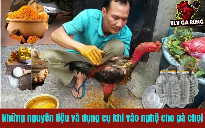 Những nguyên liệu và dụng cụ thiết yếu cho quy trình vào nghệ