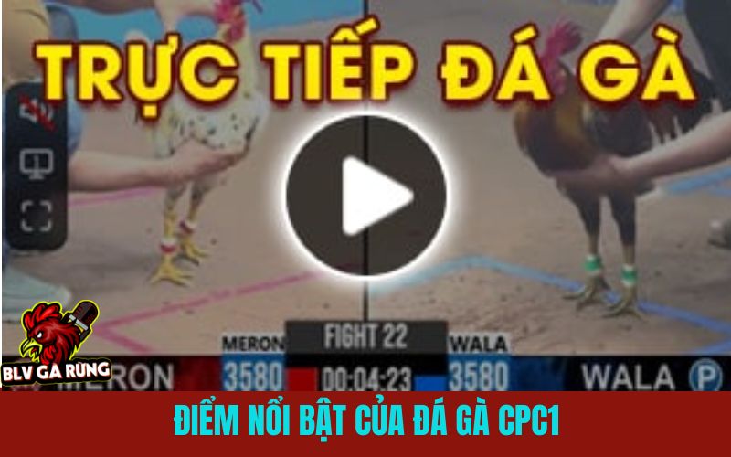 Ưu Điểm Khi Xem Trực Tiếp Và Cá Cược Đá Gà CPC1