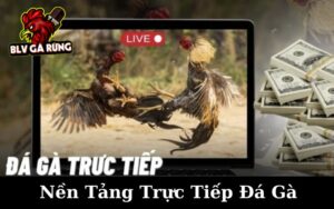 Nền Tảng Trực Tiếp Đá Gà