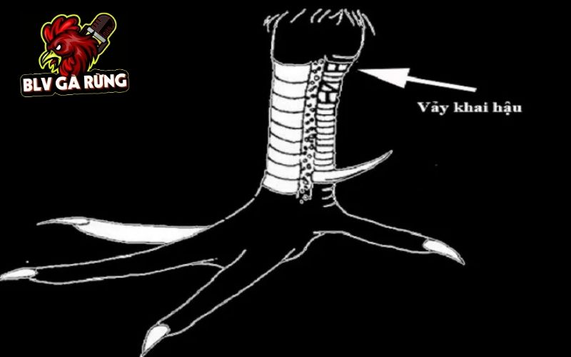 Những đặc điểm nhận biết Vảy Khai Hậu