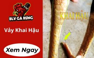 Vảy Khai Hậu